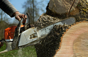 Tree Surgery Yateley Tree Surgery Yateley
